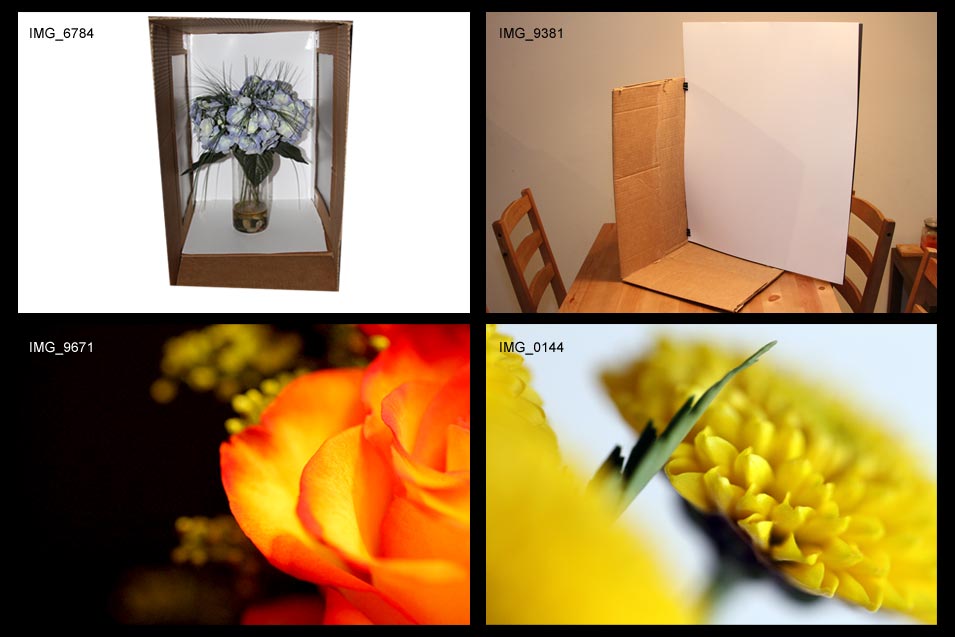 Build a Macro Photo Studio Box