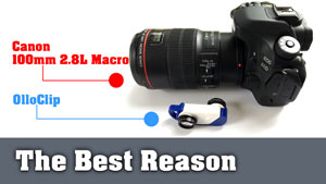 Macro Photography Reason